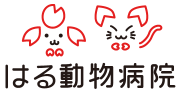 新潟市 はる動物病院